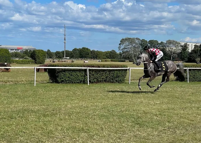 Blisko Plazy 아파트 소포트