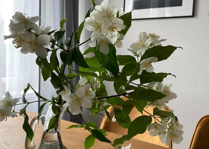 Blisko Plazy سوبوت