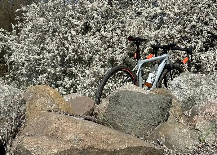 아파트 Blisko Plazy 소포트